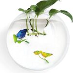 Wall Hanging Fish Bowl – A Unique and Elegant Aquarium for Your Home